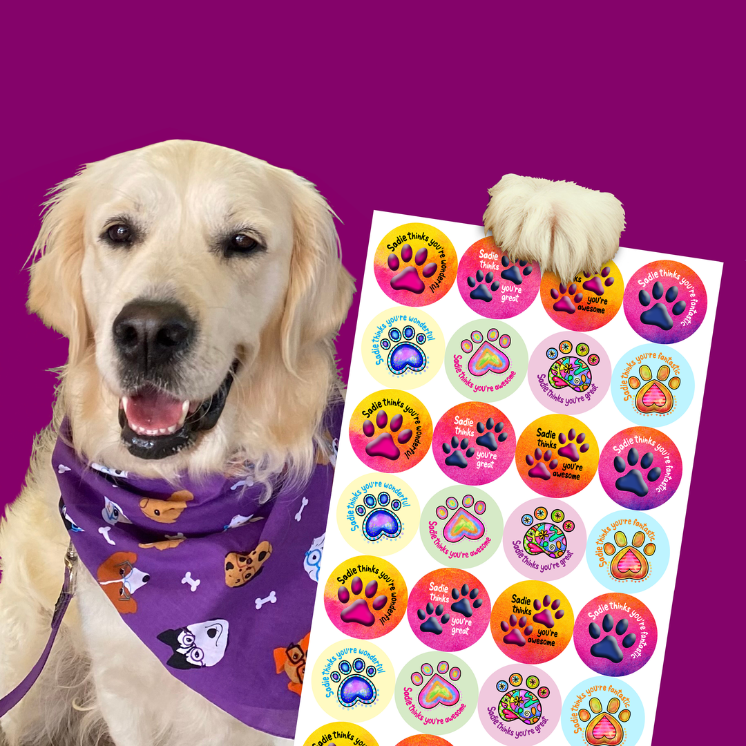 Custom Design Examples – Discovery Educational